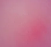 Peach Pink Xtreme Polishing Systems